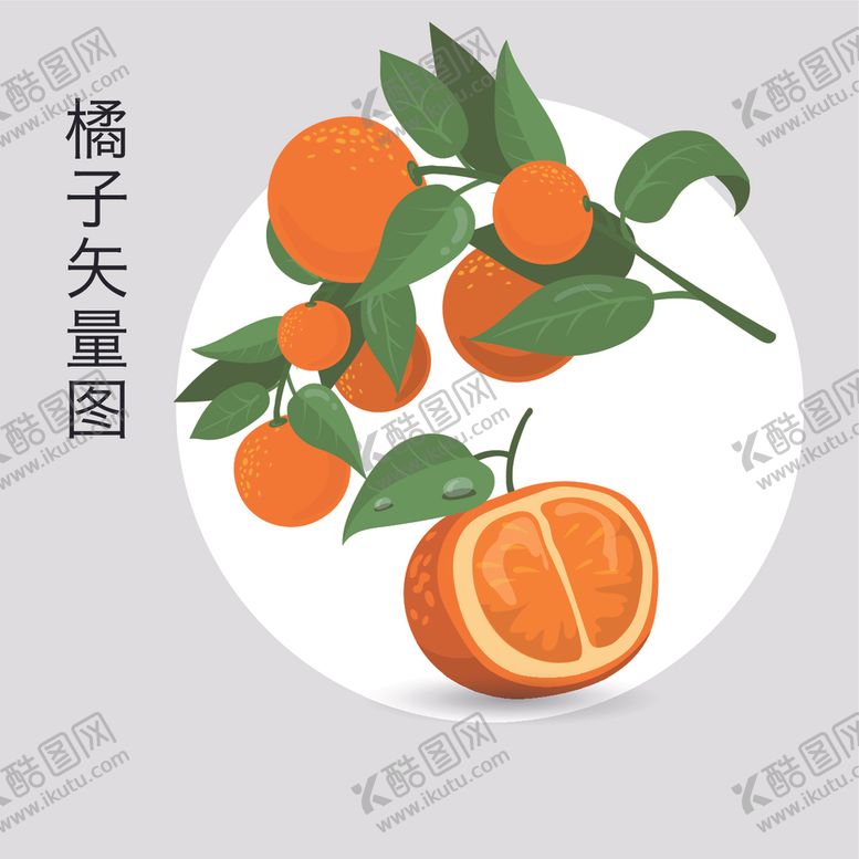 编号：52230804210053426412【酷图网】源文件下载-橘子橙子手绘矢量素材