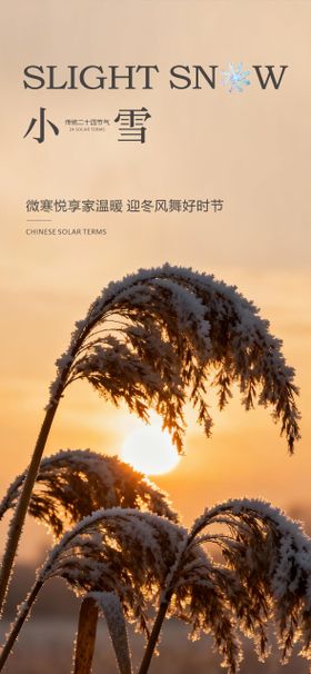 中国传统节气小雪