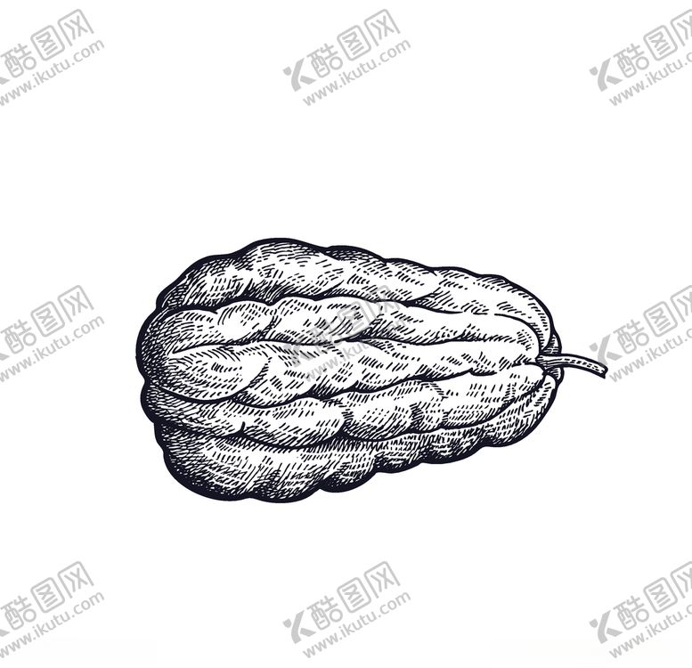 编号：60081707071633524474【酷图网】源文件下载-蔬菜
