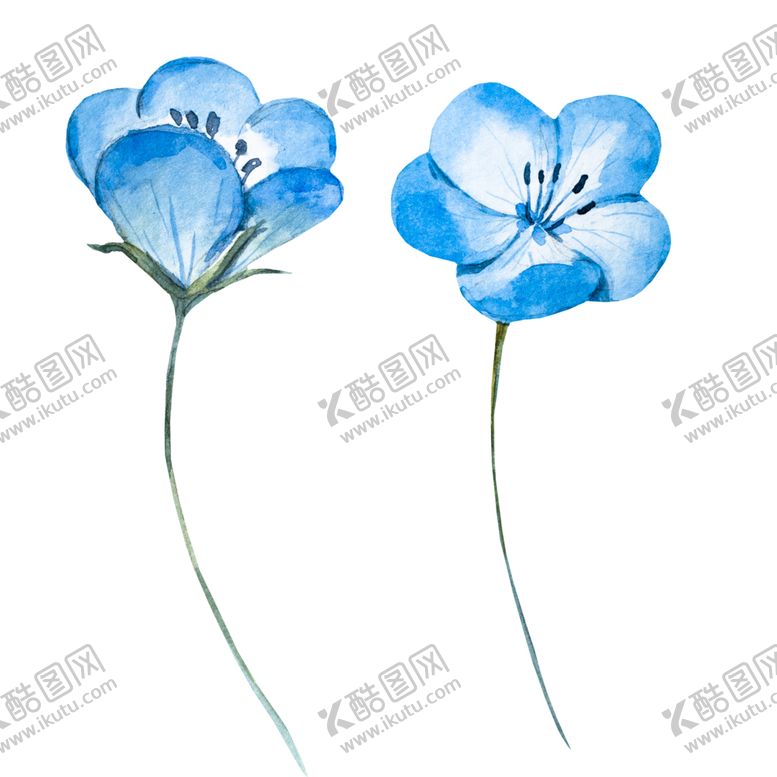编号：56863807131700584095【酷图网】源文件下载-手绘植物