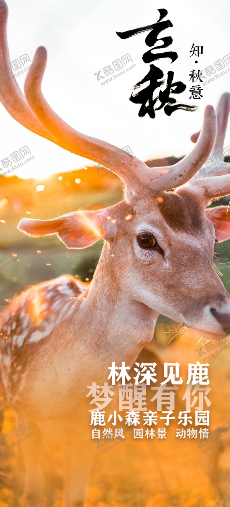 编号：01789209240818552485【酷图网】源文件下载-立秋海报