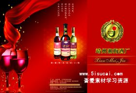 靖州湘梅酒