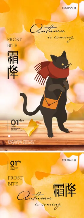 霜降节气系列海报简约二十四猫咪