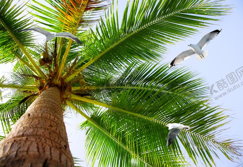 编号：85628510280746532702【酷图网】源文件下载-风景画