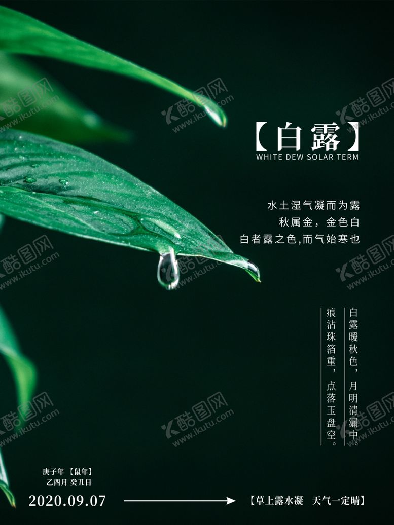 编号：15986711011512236455【酷图网】源文件下载-白露