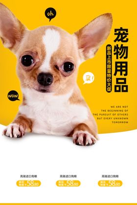 狗狗