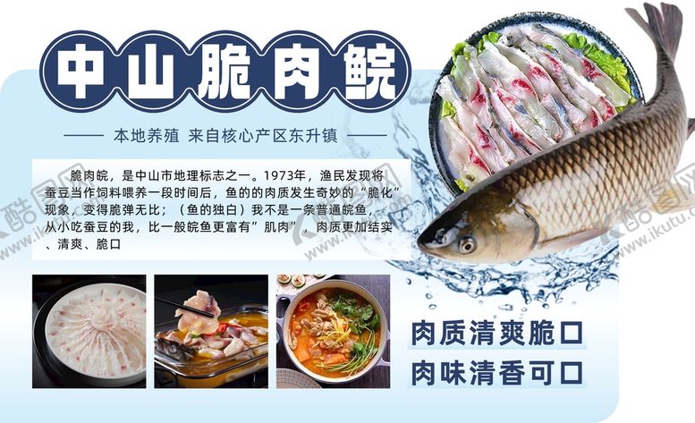 编号：69301409151303228140【酷图网】源文件下载-脆肉鲩中山东升