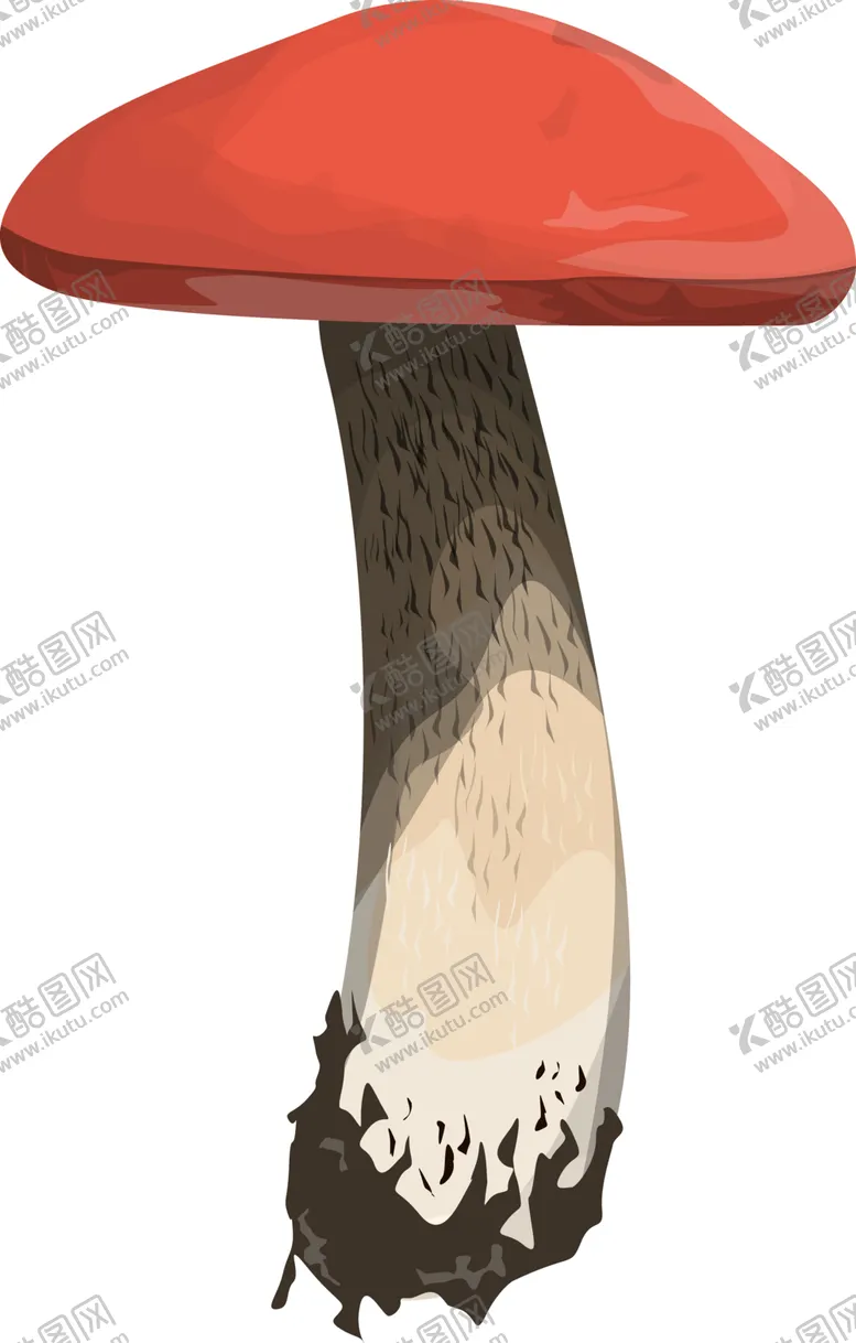 编号：37140502081943253241【酷图网】源文件下载-菌类植物