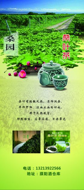 桑茶展架