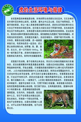 虎的生活环境与规律