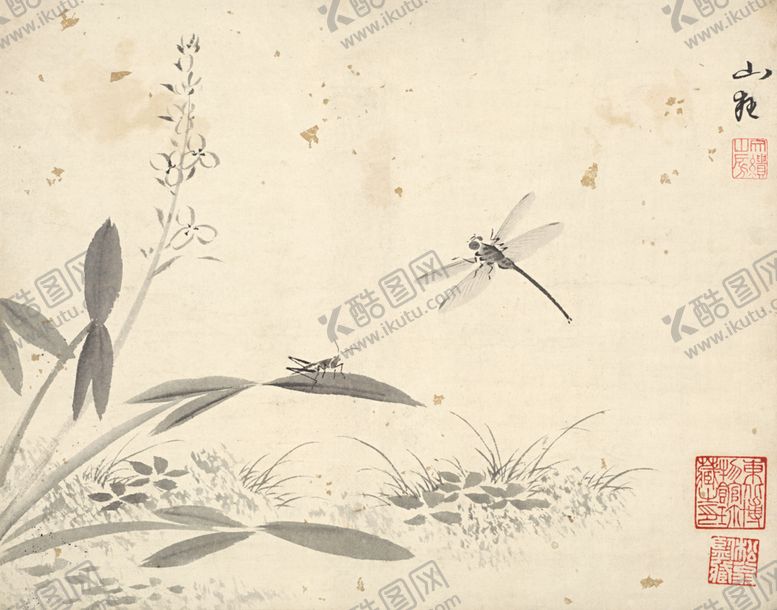 编号：11788510071134052954【酷图网】源文件下载-植物花朵工笔画