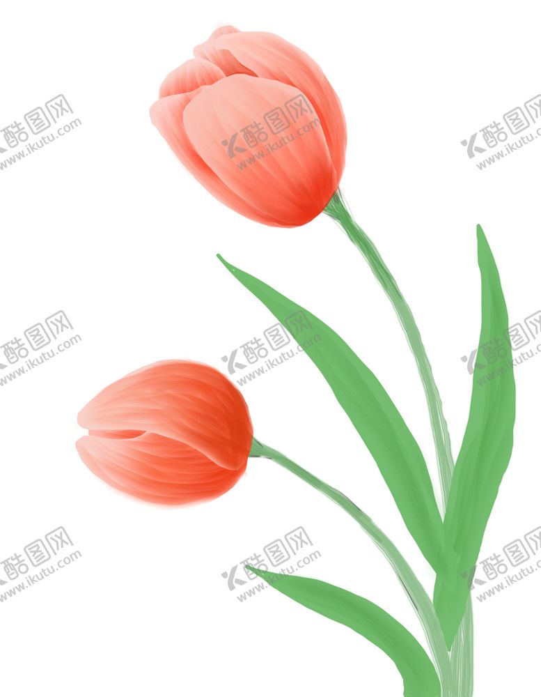 编号：16495809132059105473【酷图网】源文件下载-唯美郁金香插画花花卉
