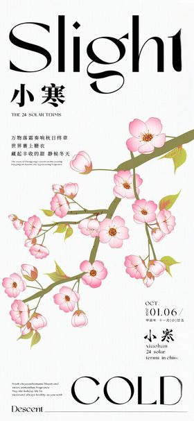 花卉节气海报