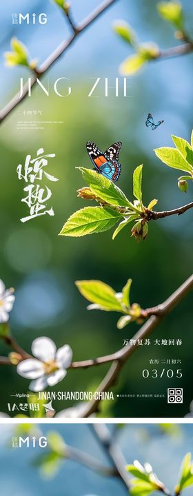 二十四节气惊蛰系列海报