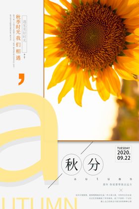 秋分柿子橙色简约海报
