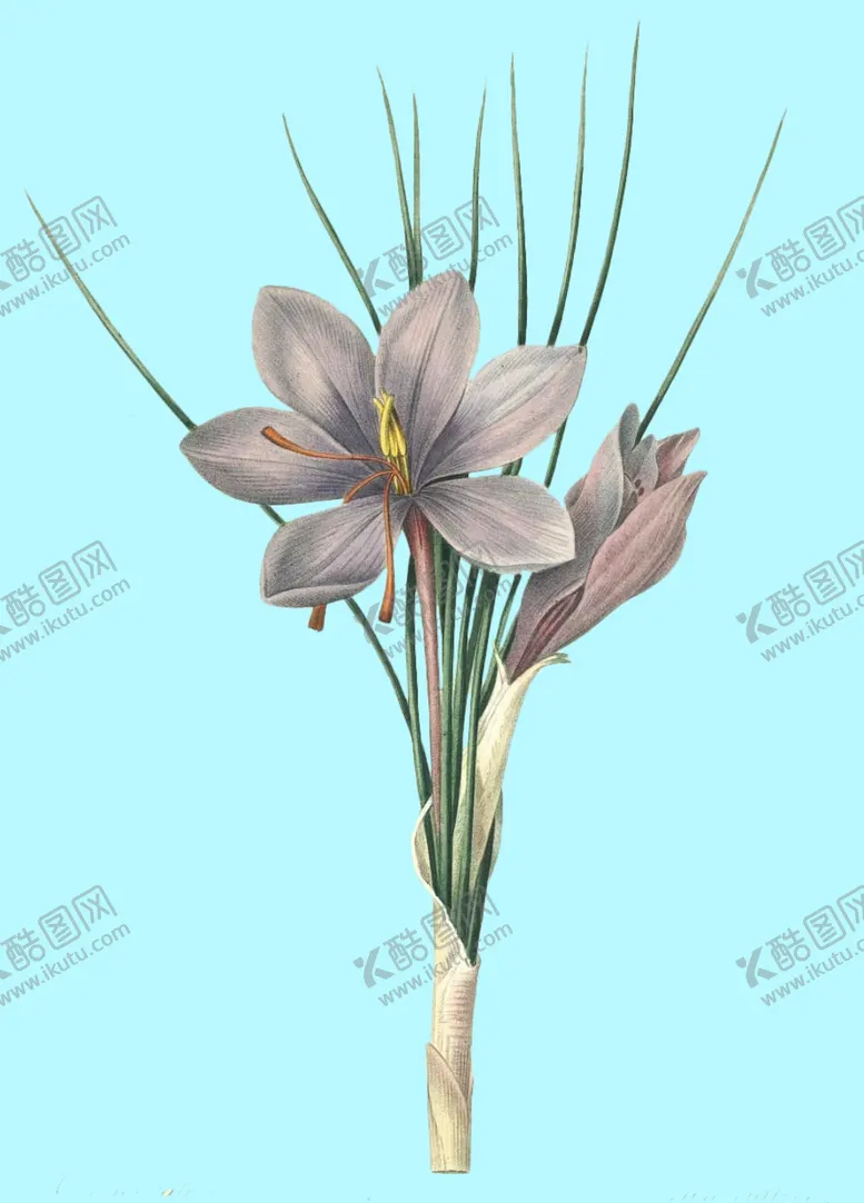 编号：67665306280820057835【酷图网】源文件下载-手绘花