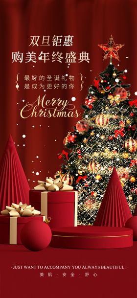 圣诞节医美海报