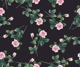 玫瑰花