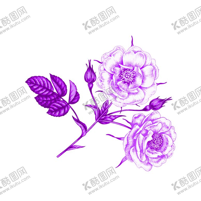 编号：14682406241228119378【酷图网】源文件下载-花素材