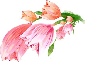 高清手绘花