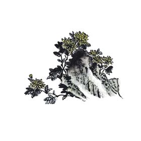 国画菊花