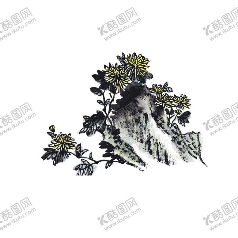 编号：47033206231544081081【酷图网】源文件下载-国画菊花