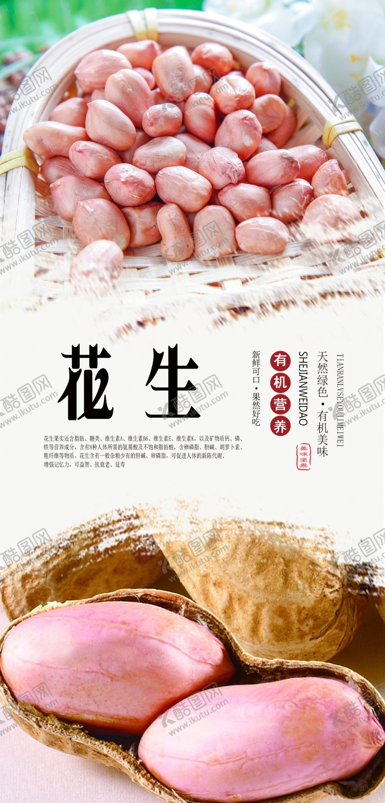 编号：65108207061301126386【酷图网】源文件下载-花生海报