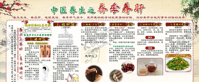 编号：62683410040939322307【酷图网】源文件下载-中医养生之春季养肝宣传栏