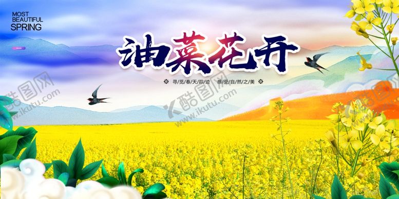 编号：62104504040237378514【酷图网】源文件下载-油菜花