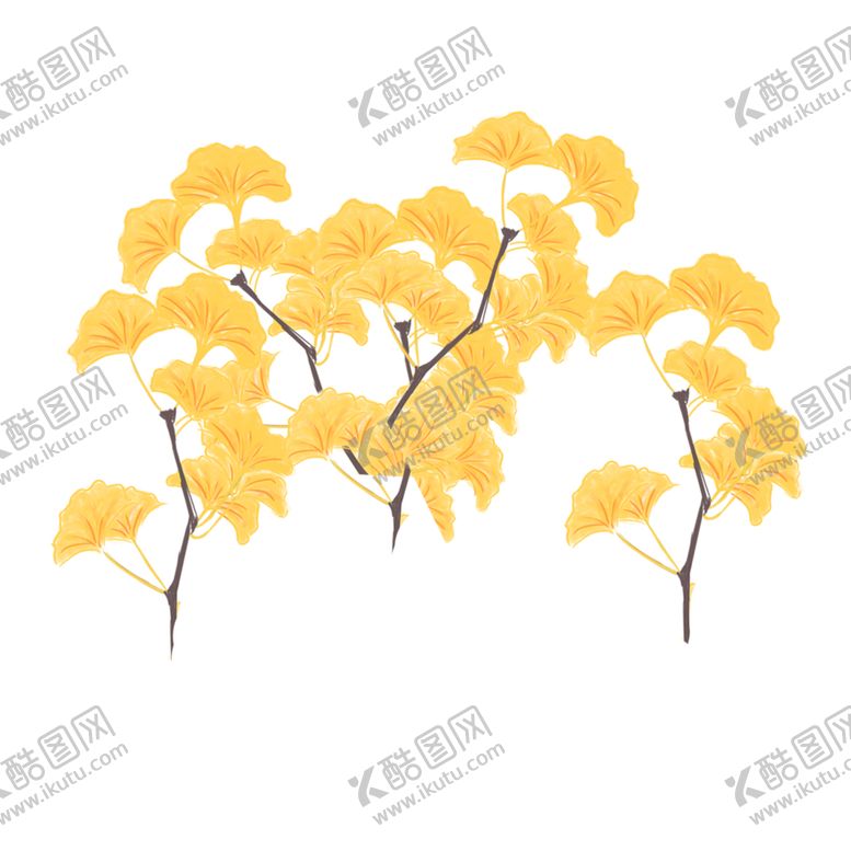 编号：77557205010219452854【酷图网】源文件下载-秋天银杏叶