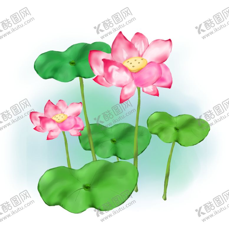 编号：83465910250415082882【酷图网】源文件下载-荷花元素