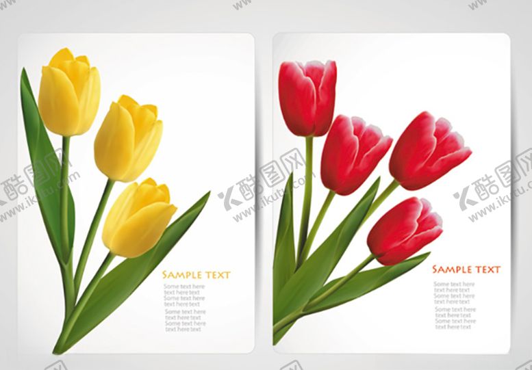 编号：55607309180307453447【酷图网】源文件下载-玫瑰花