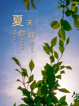 夏天你好凉快图图片