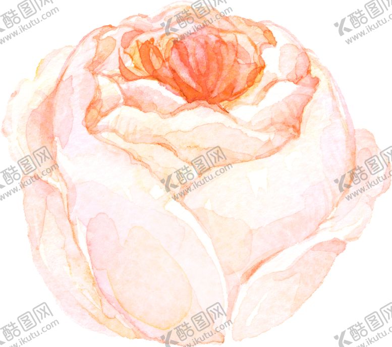 编号：12490205051855508871【酷图网】源文件下载-水彩手绘花卉花朵植物