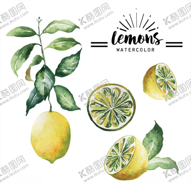 编号：82783009260906589148【酷图网】源文件下载-矢量手绘柠檬