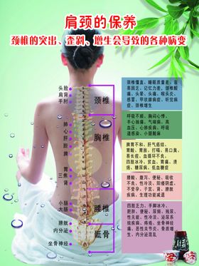 肩劲保养