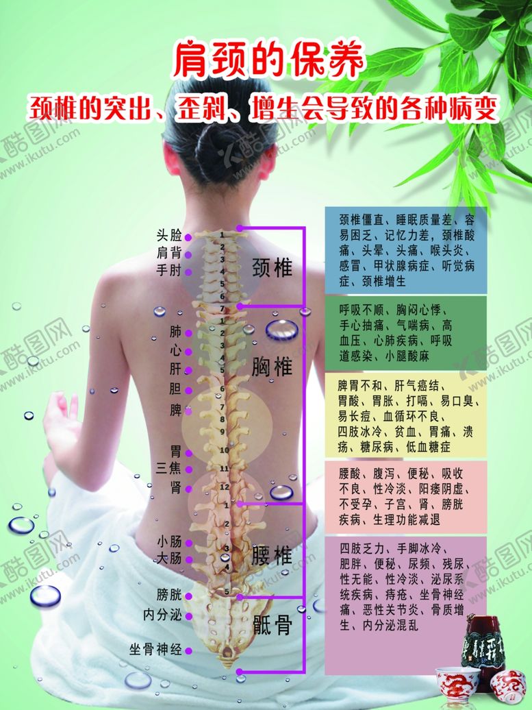 编号：90227907070557565051【酷图网】源文件下载-肩颈保养