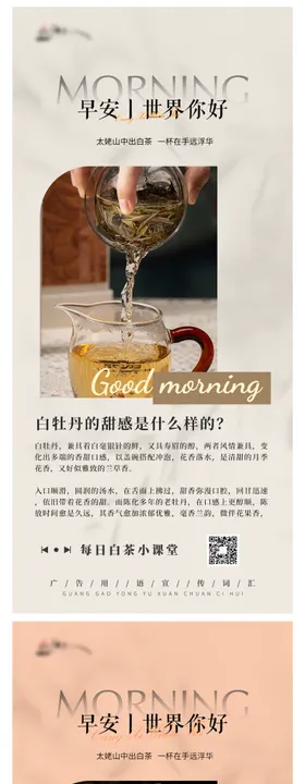 白茶日签小知识系列