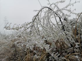 LOGO冰雪图标