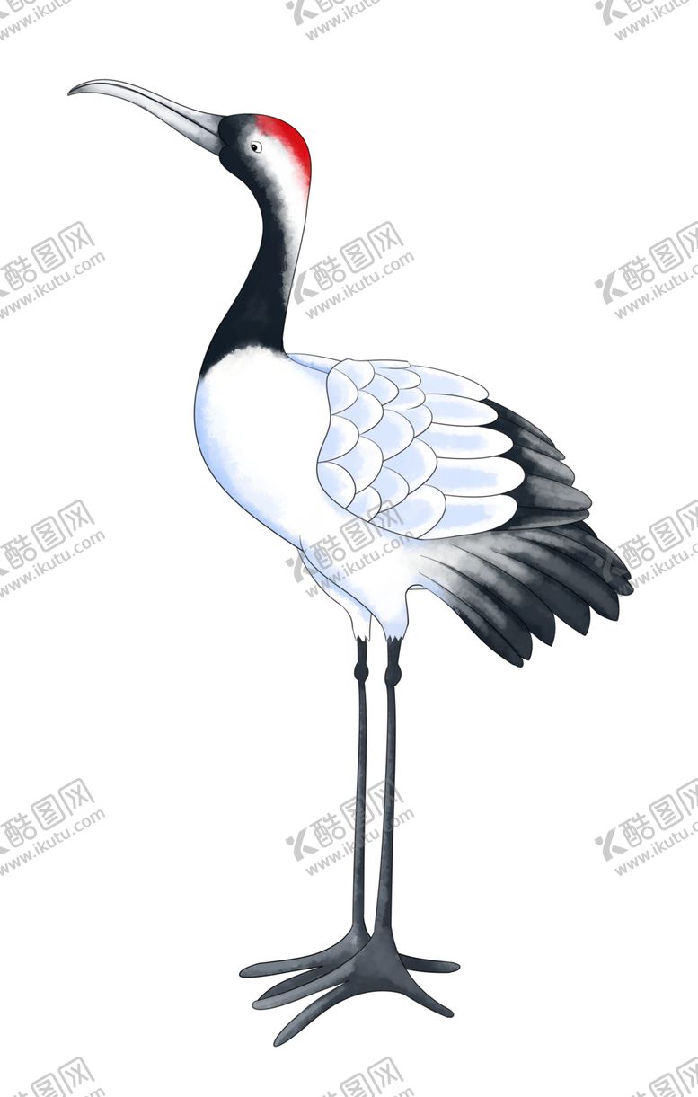 编号：59180505130639482578【酷图网】源文件下载-仙鹤元素