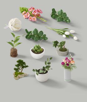 化妆品样机植物
