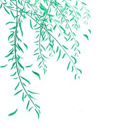 清明节素材传统小吃果插图