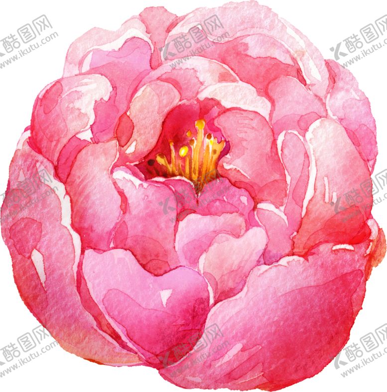 编号：37259309272112348645【酷图网】源文件下载-水彩手绘花卉花朵植物