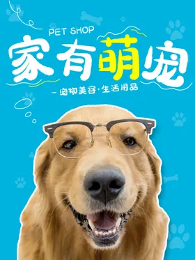 宠物海报店开业猫猫店开张