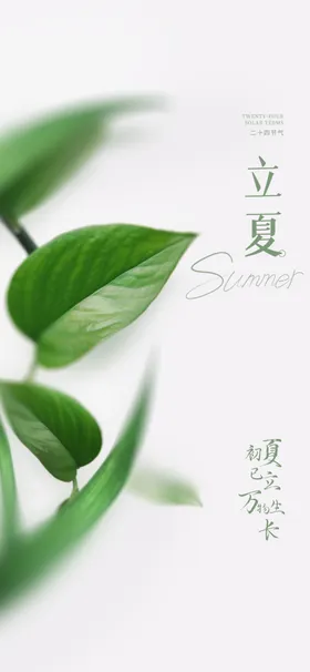 立夏海报二十四节气创意节气