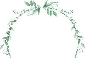 海报元素花草元素展架元素手绘枫叶点缀分割线