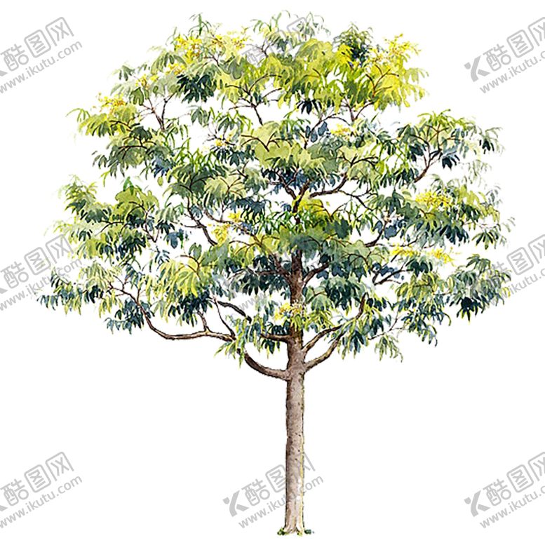 编号：27731807082148578491【酷图网】源文件下载-绿色背景