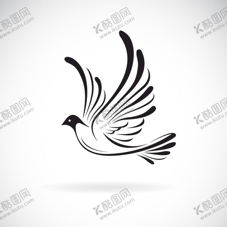 编号：20417510101040054058【酷图网】源文件下载-鸽子
