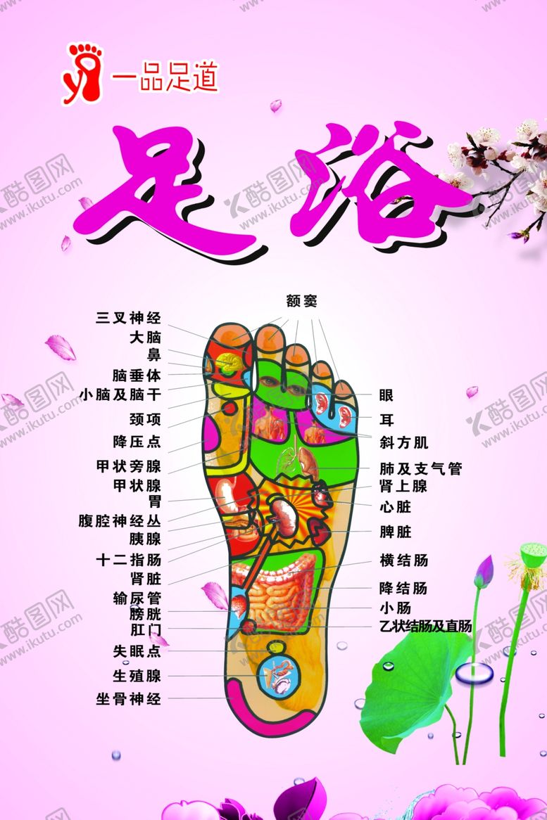 编号：87884909140512474831【酷图网】源文件下载-足浴