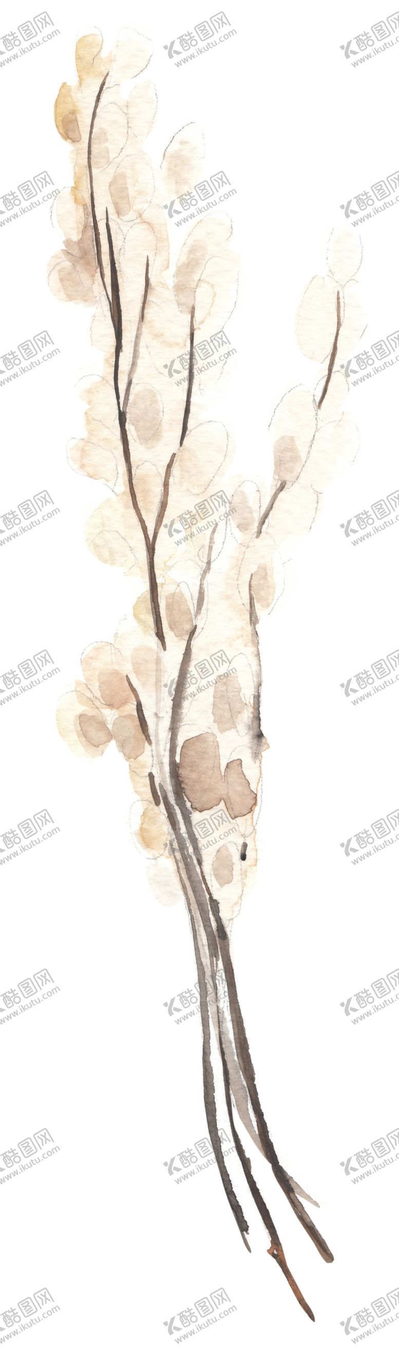 编号：66520210010817554255【酷图网】源文件下载-北欧小清新水彩植物图案